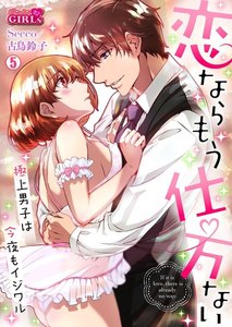 恋ならもう仕方ない~極上男子は今夜もイジワル
