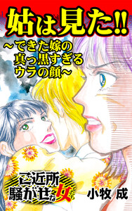 姑は見た!~できた嫁の真っ黒すぎるウラの顔~/ご近所騒がせな女たちVol.7 電子書籍版