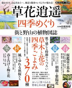 草花逍遥 四季めぐり 街と野山の植物図誌 電子書籍版