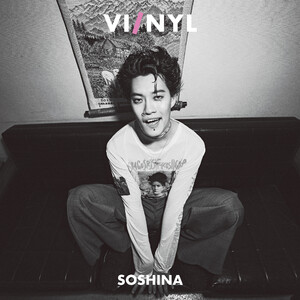 VI/NYL #019 電子書籍版