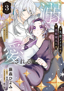 失恋メイドは美形軍人に溺愛される (3) ～実は最強魔術の使い手でした～