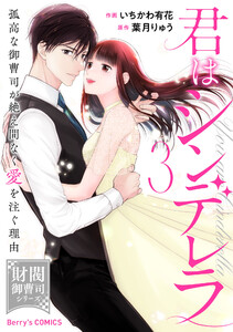 君はシンデレラ～孤高な御曹司が絶え間なく愛を注ぐ理由～【財閥御曹司シリーズ】3巻