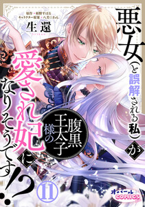 悪女(と誤解される私)が腹黒王太子様の愛され妃になりそうです!?11