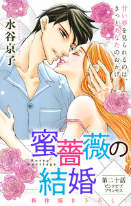 Love Silky 蜜薔薇の結婚