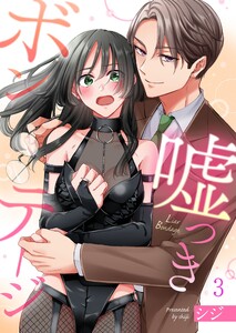 嘘つきボンテージ(3) 電子書籍版