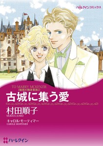魅惑の独身貴族