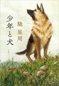 少年と犬