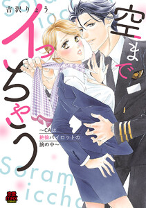 空までイっちゃう~CAは絶倫パイロットの腕の中~【電子単行本】