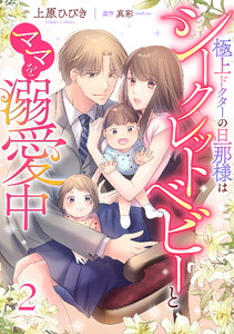 極上ドクターの旦那様はシークレットベビーとママを溺愛中【分冊版】2話 電子書籍版