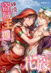 砂漠の盗賊王と攫われた花嫁(5) 電子書籍版