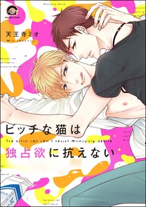 ビッチな猫は独占欲に抗えない【再編集版】 【電子限定かきおろし漫画付】 電子書籍版