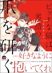 ビッチな猫は劣情の爪を研ぐ【再編集版】 【電子限定かきおろし漫画付】 電子書籍版