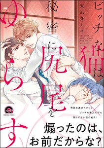 ビッチな猫は秘密に尻尾をゆらす【再編集版】 【電子限定かきおろし漫画付】 電子書籍版