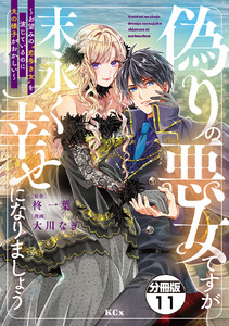 偽りの悪女ですが末永く幸せになりましょう～お望みの”恋多き女”を演じているのに夫の様子がおかしい～ 分冊版 (11) 電子書籍版