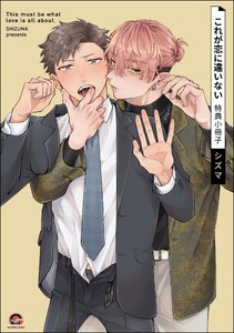 これが恋に違いない 特典小冊子