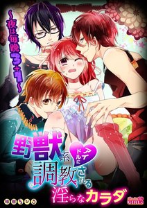 野獣系アイドルに調教される淫らなカラダ~夜は毎晩3+1~