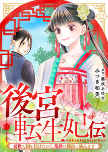 後宮転生妃伝～前世で国を傾けたので、現世は節約に励みます～(12) 電子書籍版