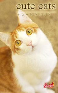 cute cats18 日本猫 電子書籍版