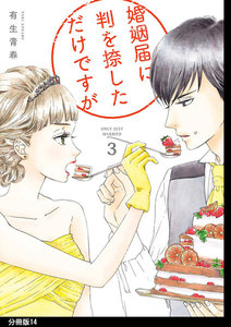 婚姻届に判を捺しただけですが 分冊版(14) 電子書籍版