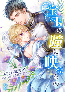 宝玉の瞳に映るもの(2) 電子書籍版