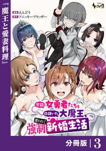 冗談で女勇者たちを口説いた大魔王、攫われて強制新婚生活【分冊版】3 電子書籍版