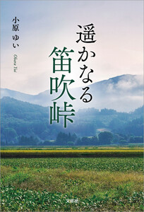 遥かなる笛吹峠