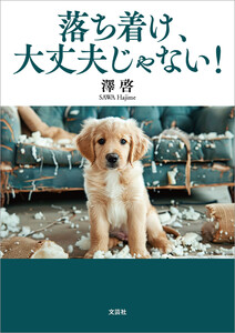 落ち着け、大丈夫じゃない!