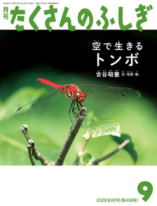 空で生きる トンボ(たくさんのふしぎ2026年9月号)