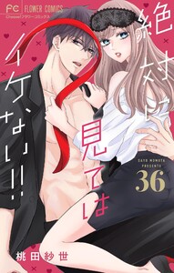 絶対に見てはイケない!!【マイクロ】 (36)