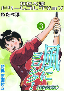 風にヨロシク!3<特典原画付き特装版>・わたべ淳ドリームコレクション 電子書籍版
