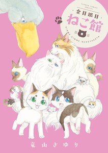 金目銀目ねこ館 (6)