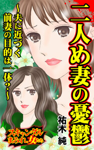 二人め妻の憂鬱～夫に近づく前妻の目的は一体?～/スキャンダルまみれな女たちVol.9 電子書籍版