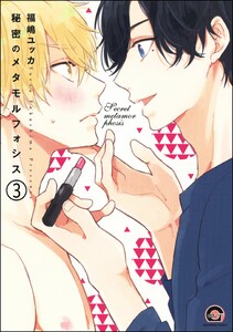 秘密のメタモルフォシス(分冊版) 【第3話】 電子書籍版