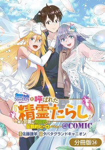 無能と呼ばれた『精霊たらし』～実は異能で、精霊界では伝説的ヒーローでした～@COMIC【分冊版】 34巻 電子書籍版