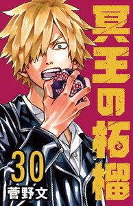 冥王の柘榴(話売り) #30