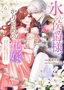 【特装版】氷の侯爵様とかりそめの花嫁～愛のない王命婚なのに、なぜか溺愛されてます～(6)【描き下ろしイラスト付き】