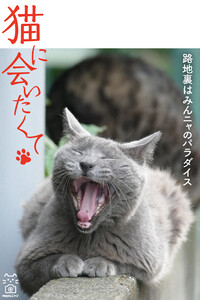猫に会いたくて 路地裏はみんニャのパラダイス 電子書籍版