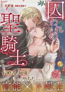 囚われの聖騎士 1