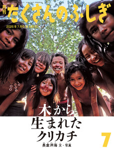 木から生まれたクリカチ(たくさんのふしぎ2026年7月号)