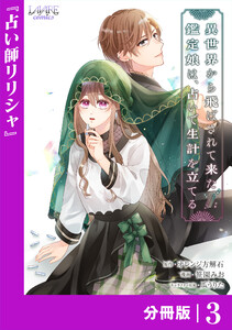 異世界から飛ばされて来た鑑定娘は、占いで生計を立てる【分冊版】3 電子書籍版