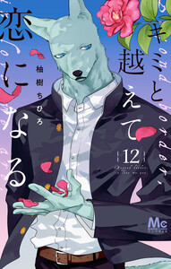 キミと越えて恋になる 単行本版 (12)