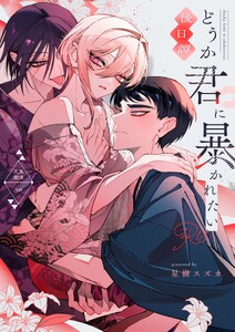 どうか君に暴かれたい 後日譚