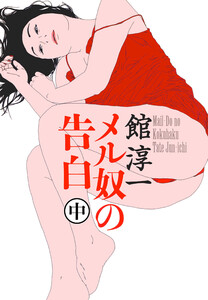 メル奴の告白 中巻 電子書籍版