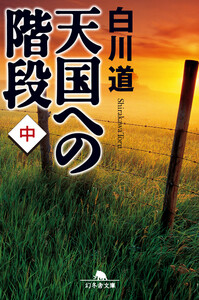 天国への階段(中) 電子書籍版