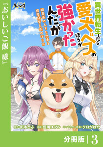 異世界転生したら愛犬ベスのほうが強かったんだが~職業街の人でも出来る宿屋経営と街の守り方~【分冊版】(ノヴァコミックス)3 電子書籍版