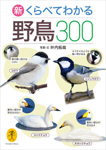 ヤマケイ文庫 新 くらべてわかる野鳥300