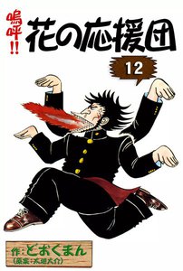 嗚呼!! 花の応援団 (12) 電子書籍版