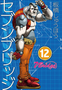 セブンブリッジ (12) 電子書籍版