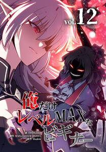 俺だけレベルMAXなビギナー(12)