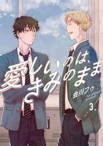 【分冊版】愛しいのは、きみのまま 3. 電子書籍版